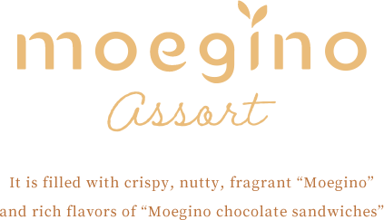 Moegino Assort