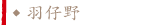 羽仔野